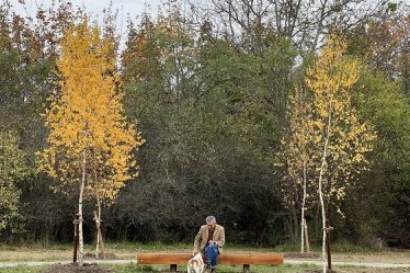 "Plantati in amintire", primul parc de mesteceni amenajat in memoria celor dragi, a fost inaugurat