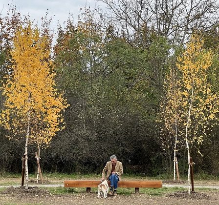"Plantati in amintire", primul parc de mesteceni amenajat in memoria celor dragi, a fost inaugurat