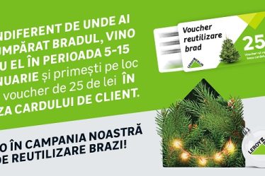 Romanii pot aduce bradul uscat in magazinele Leroy Merlin, indiferent de unde l-au achizitionat si vor beneficia de un voucher de cumparaturi