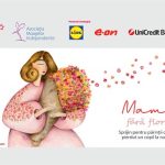 Celula de Arta inaugureaza cea de-a cincea locatie – Salonul permanent de la Palatul Bragadiru