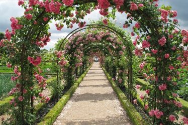 Top 10 cele mai frumoase gradini de trandafiri din lume