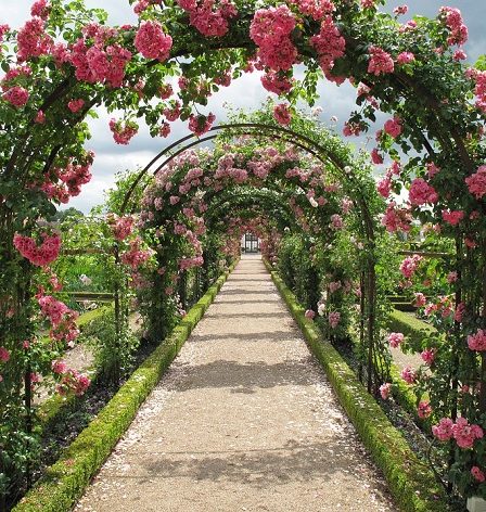 Top 10 cele mai frumoase gradini de trandafiri din lume