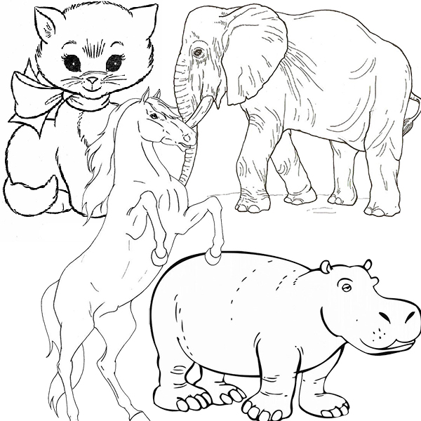 Planse de Colorat pentru Copii cu Animale