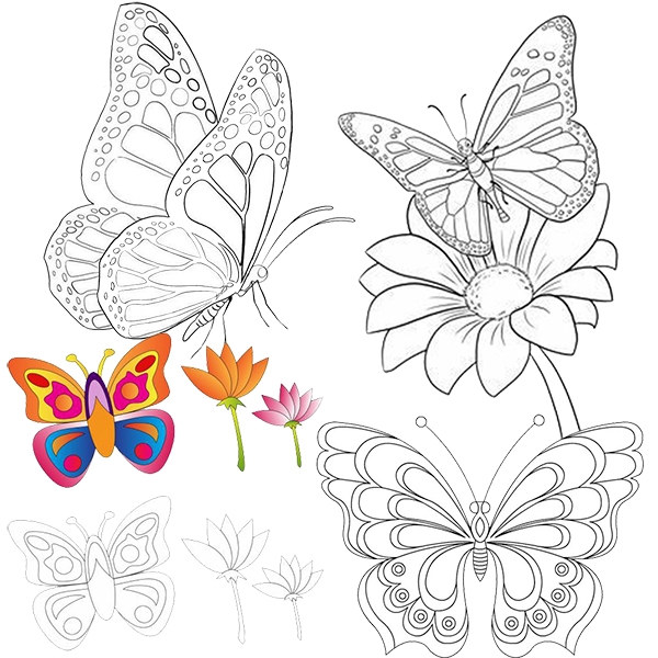 Planse de Colorat pentru Copii cu Fluturi
