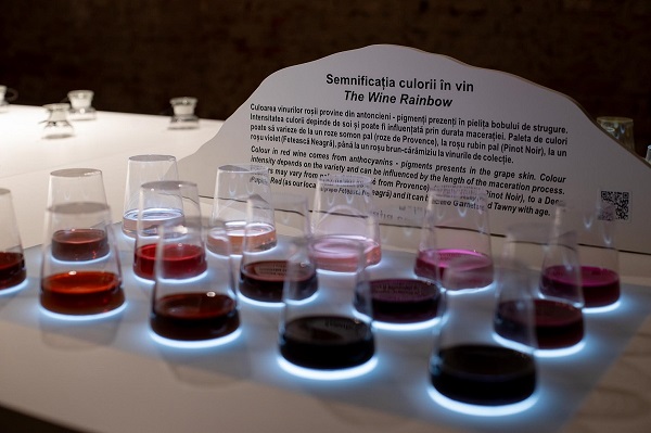 Cramele Recas deschide portile expozitiei interactive "Bufetul simturilor" in Timisoara