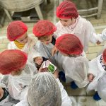 Numire cheie la nivelul boardului Carrefour Romania: Alina Gamauf isi extinde expertiza asupra departamentelor de Expansiune si Property