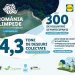 Analiza bestjobs: Eliminarea facilitatilor fiscale din domeniul IT accelereaza o criza deja resimtita pe piata muncii. Competitia intre candidati va creste si mai mult