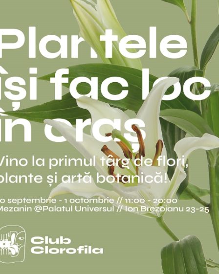 Targul botanic Club Clorofila: evenimentul care aduce la un loc pasionatii de flori si plante cu artisti, producatori si comercianti locali