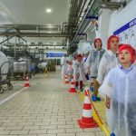 Analiza Glovo: Romanii comanda cea mai multa mancare sanatoasa la pranz