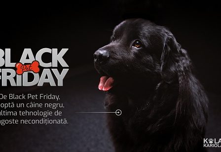 Black Pet Friday: o initiativa de adoptie care prezinta cainii negri din adaposturi ca ultima tehnologie de dragoste neconditionata