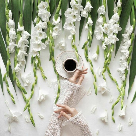 Buna dimineata! Imagini cu Cafea pentru Fiecare Zi a Lunii August