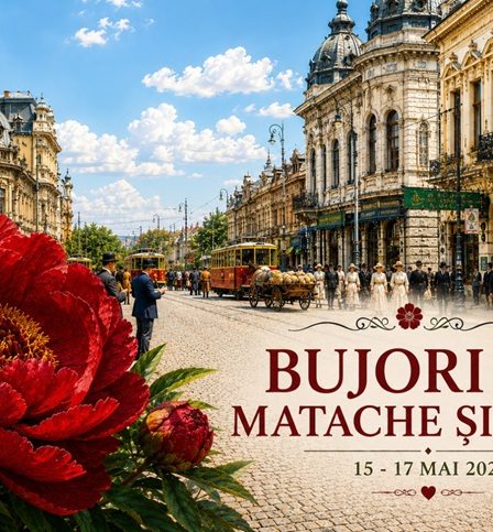 Festivalul Bujorului in pietele Matache si Amzei - 15-17 Mai 2026